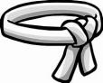 Vector of a white martial arts belt