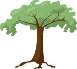 Vector of a deciduous tree