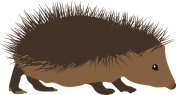 Vector graphic of a hedgehog