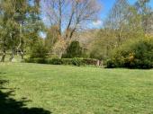 The wildlife garden; trees, green open spaces, bushes