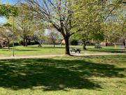 New Green Picnic spaces