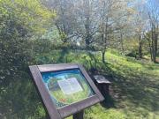 Information Board, wooden bench, Grass and trees in the wildlife garden