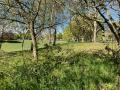 New Green Open Space, showing open grass areas, trees and wildflowers