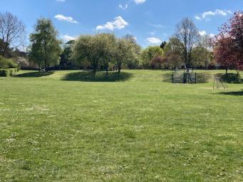 Wide open grass area, with trees in the background.