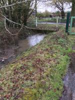 Photograph of a Suffolk watercourse