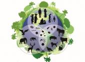 Venn Diagram Biodiversity picture