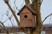 Picture of a Bird box 