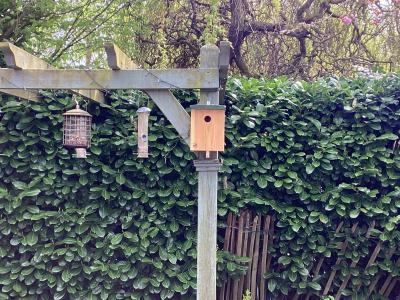 Photograph of two bird feeders and one nest box hanging from garden pergola