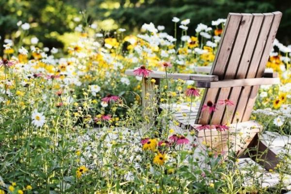 Photograph of a seat amongst flowers in a wildflower garden